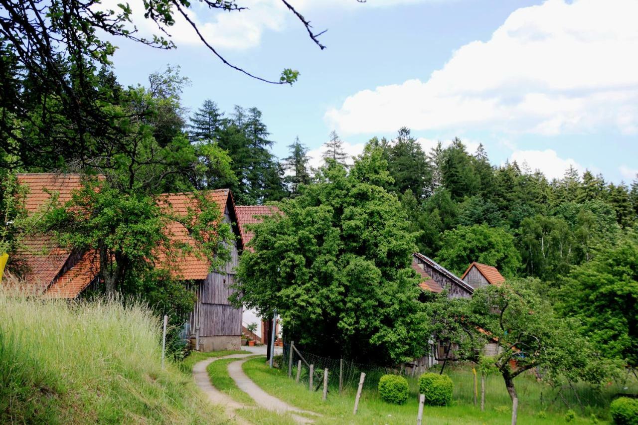 UrlaubsRaum Apartman Heiligkreuzsteinach Kültér fotó