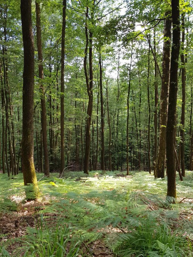 UrlaubsRaum Apartman Heiligkreuzsteinach Kültér fotó
